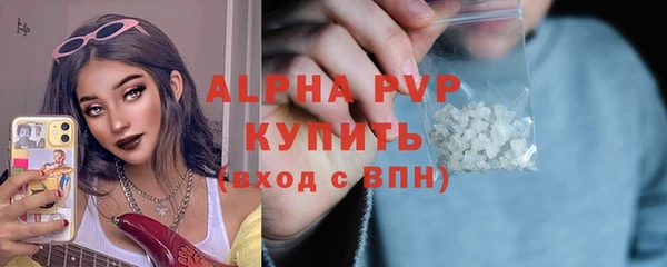 спиды Бородино